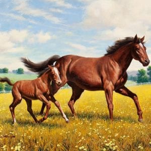 Лошади и единороги раскраски
