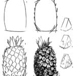 Как нарисовать ананас карандашом?