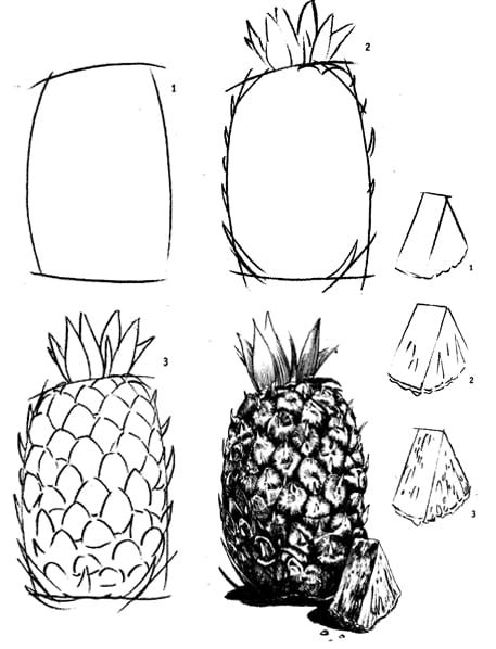 Как нарисовать ананас карандашом?