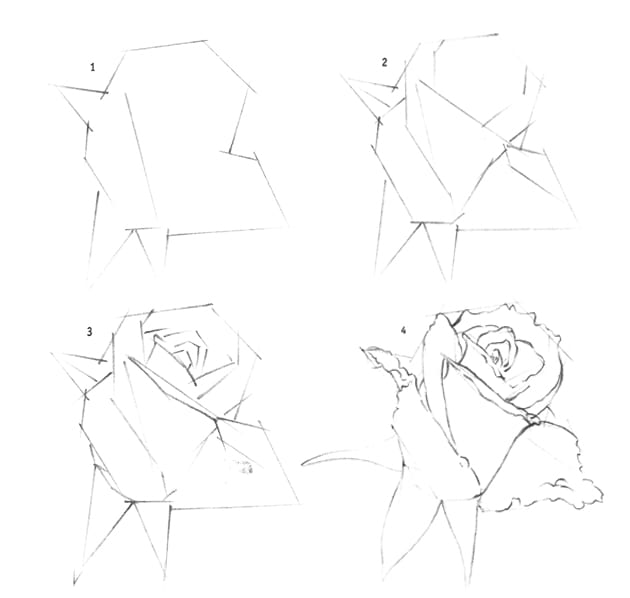 Как нарисовать чайную розу карандашом