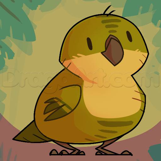 Как нарисовать попугая какапо поэтапно