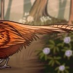 Как нарисовать фазана