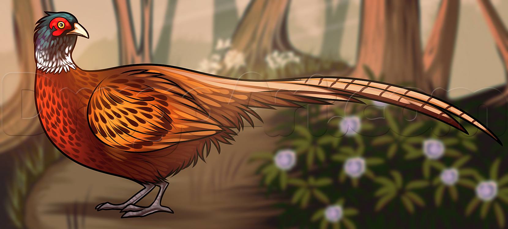 как нарисовать фазана
