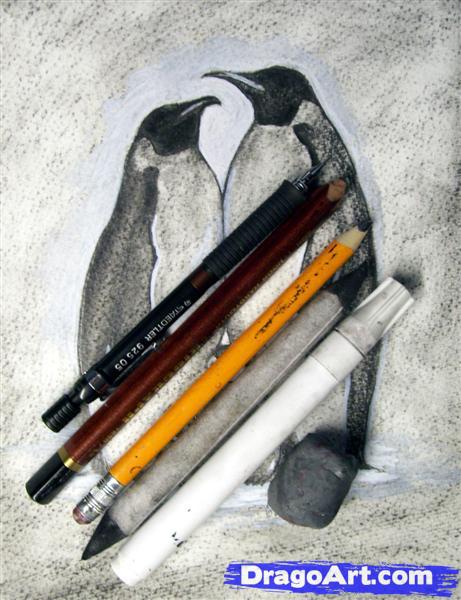 Как нарисовать пингвина карандашом поэтапно