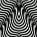иллюзии оптические черно-белые