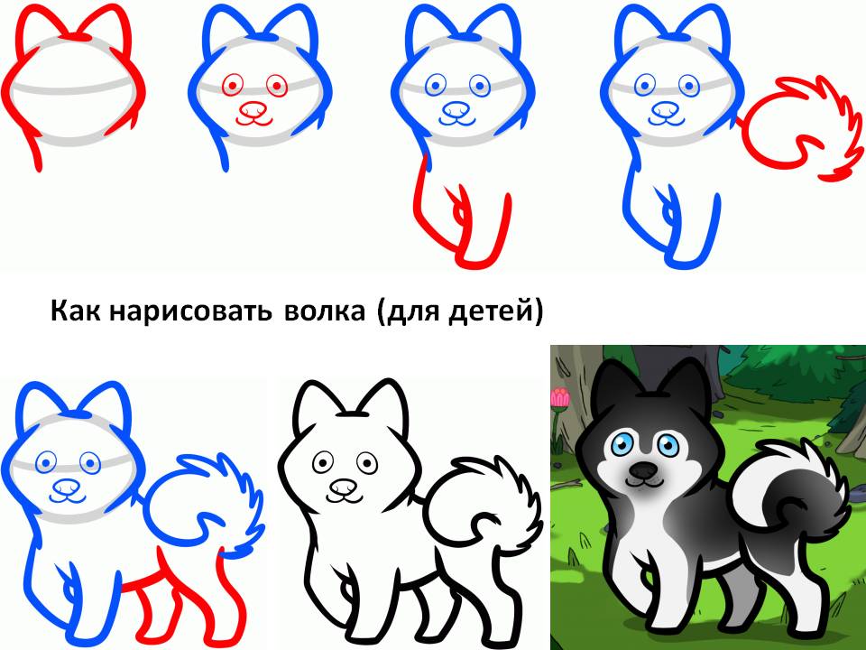 Как нарисовать волка для детей