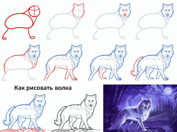 Рисунки как рисовать животных рисунки