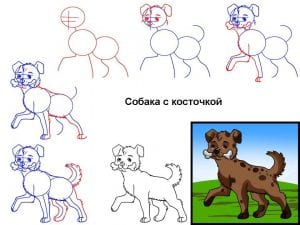 Как нарисовать собаку поэтапно