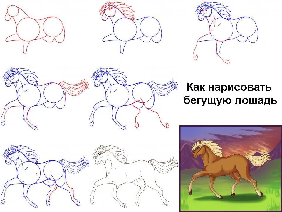 Как нарисовать бегущую лошадь