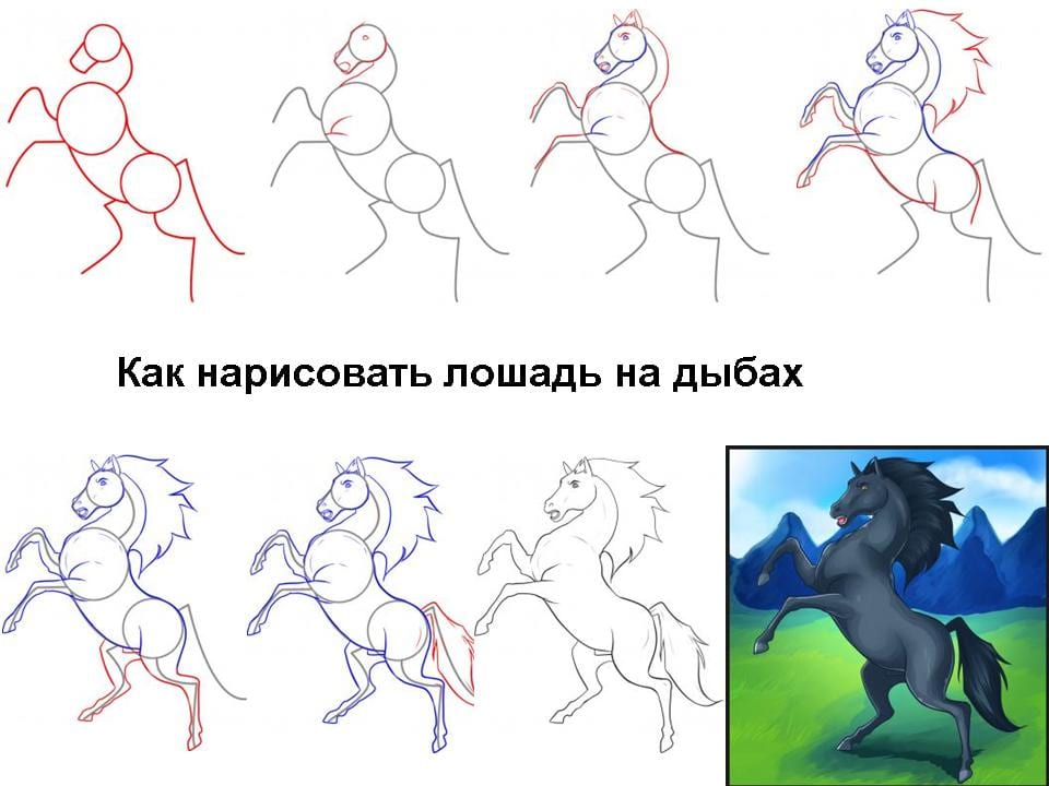 Как нарисовать лошадь на дыбах