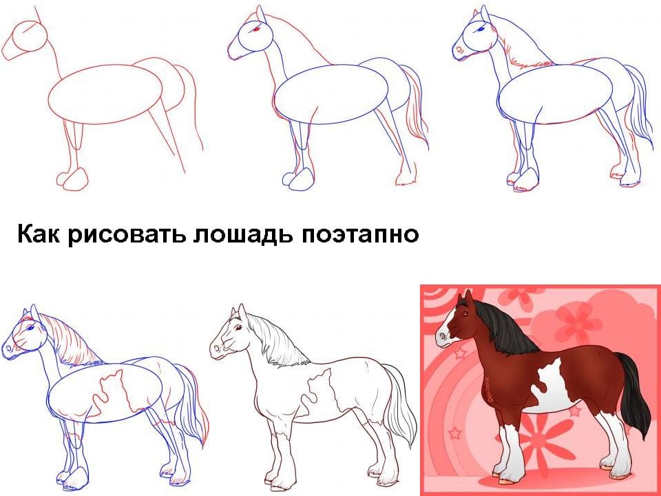 Как рисовать лошадь поэтапно