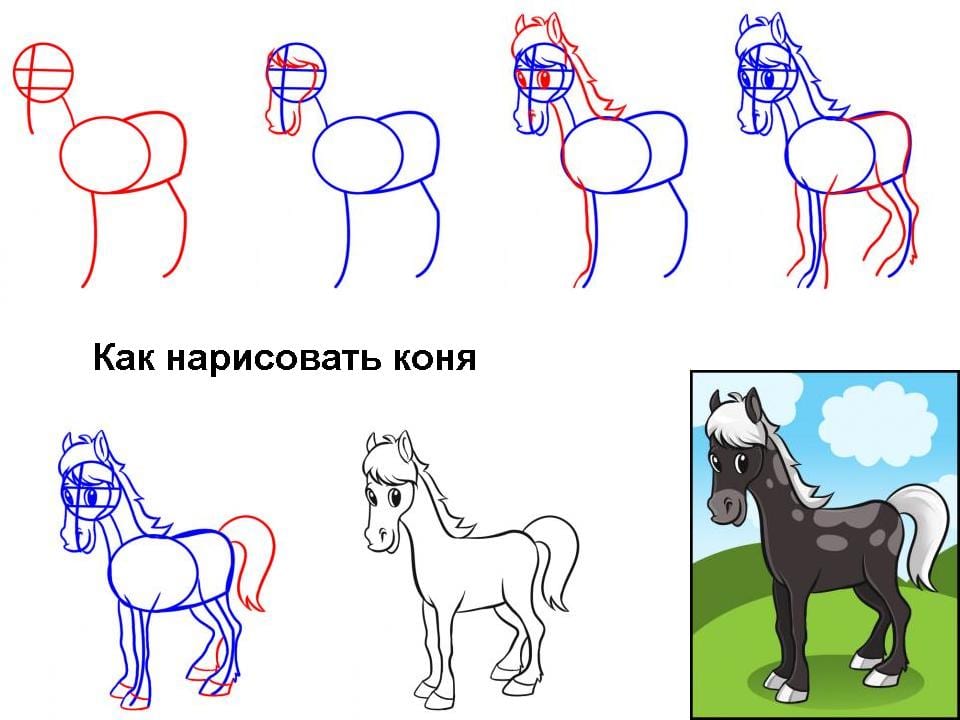 Как нарисовать коня