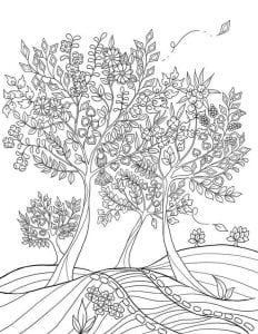раскраски листья и деревья (5)