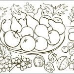 фрукты раскраски (14)