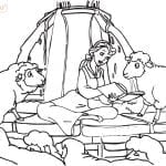 Раскраска Бэлль читает книгу овцам