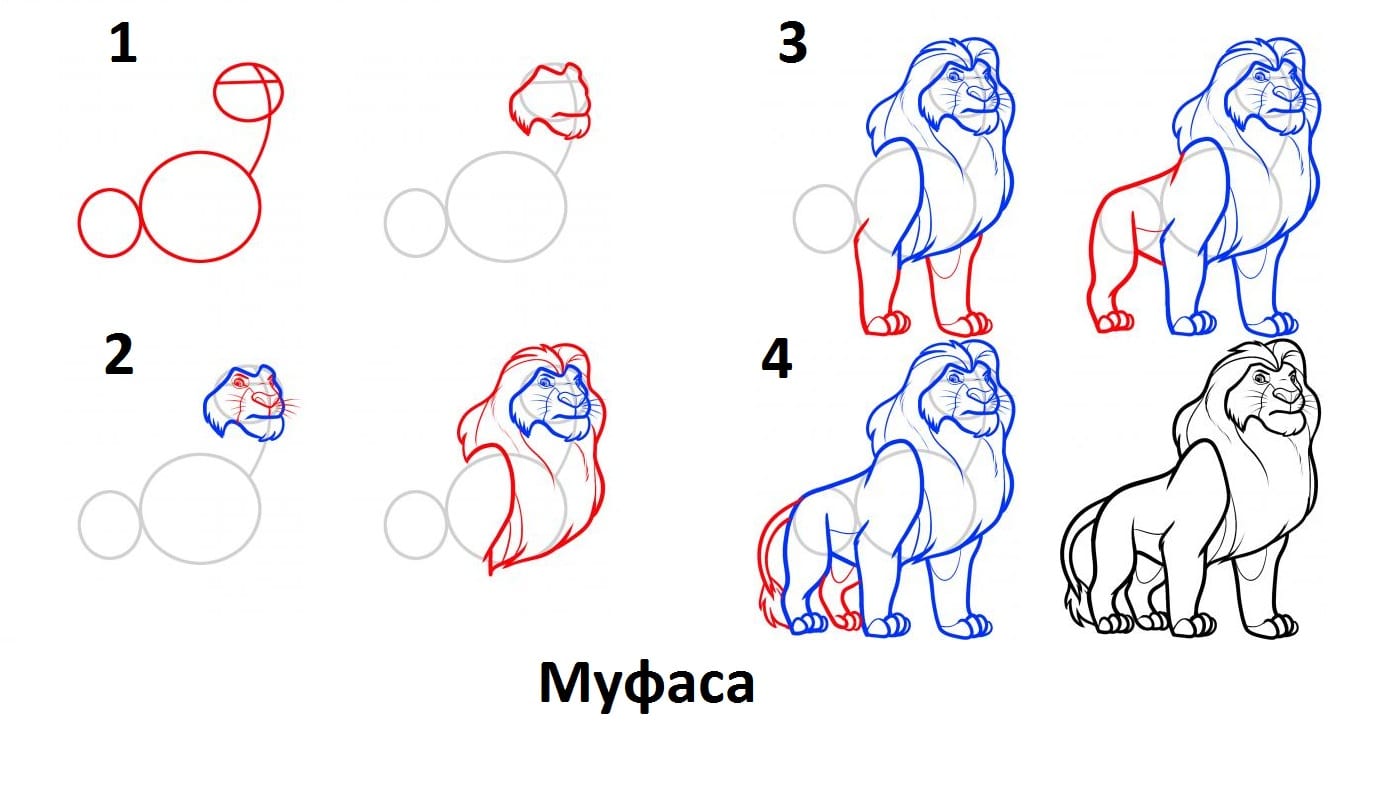 Поэтапно самые. Рисунки по этапно. Пошаговый рисунок Льва. Пошаговое рисование Льва. Как нарисовать Льва поэтапно.