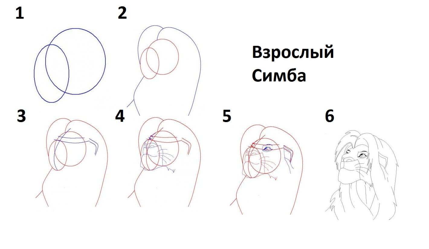 Король лев рисунок поэтапно