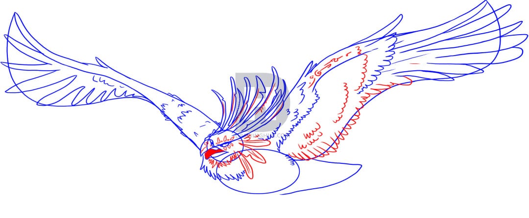 Как нарисовать феникса