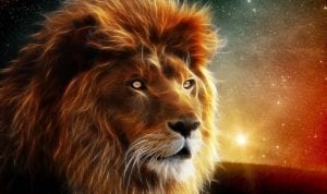 Как нарисовать льва карандашом Как нарисовать льва карандашом