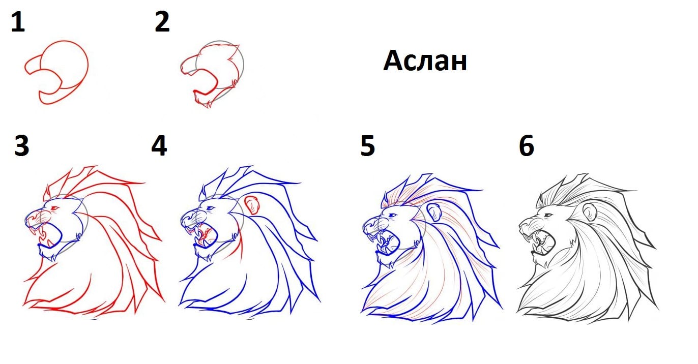 Как нарисовать Аслана