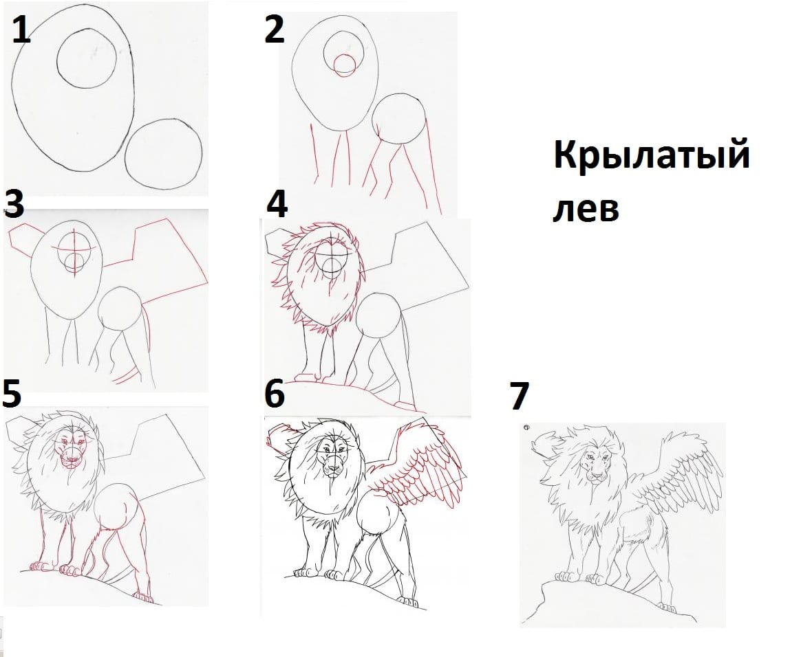 как нарисовать Крылатого льва
