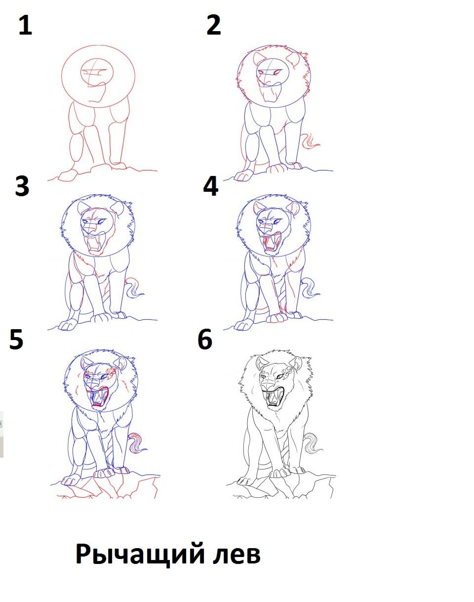 как нарисовать рычащего льва