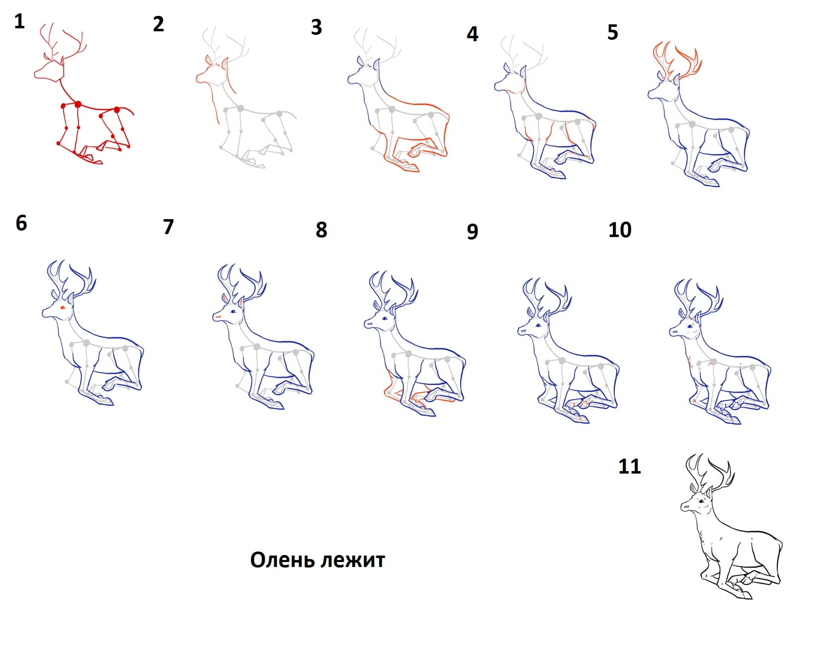 Как рисуется олень. Поэтапное рисование оленя. Поэтапное рисование оленя карандашом. Как нарисовать Леля поэтапно. Как нарисовать оленя поэтапно.