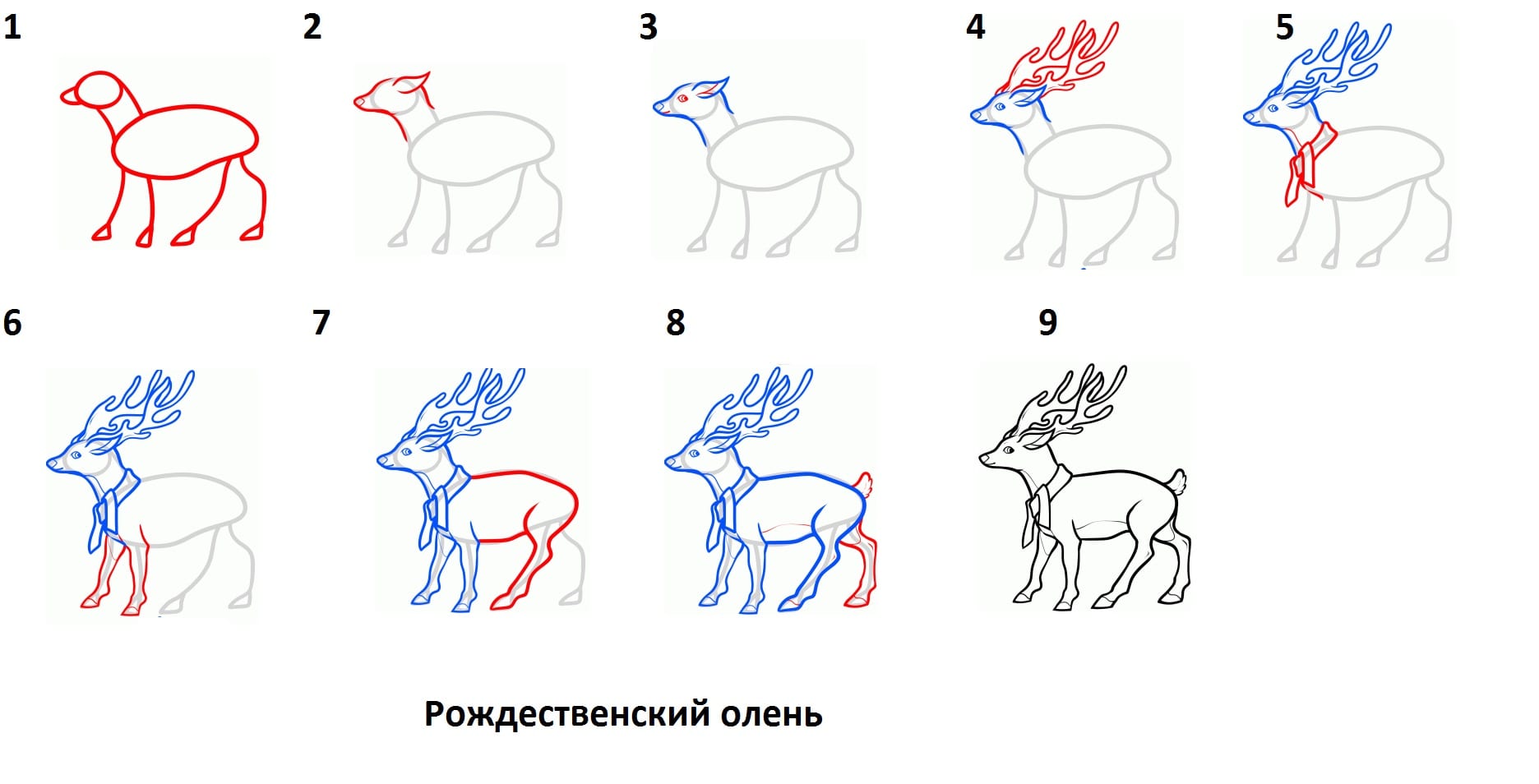 Как нарисовать оленя постепенно