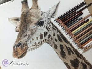 как нарисовать жирафа поэтапно