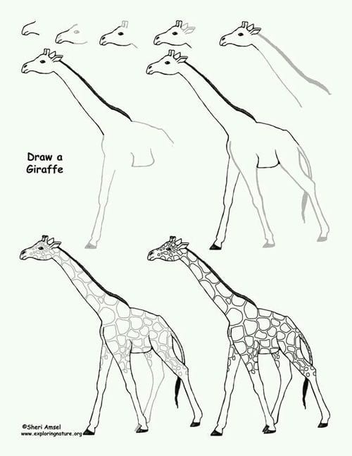 как просто нарисовать жирафа