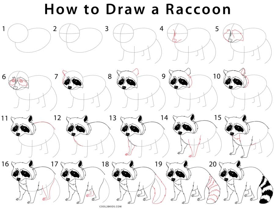 Как нарисовать енота