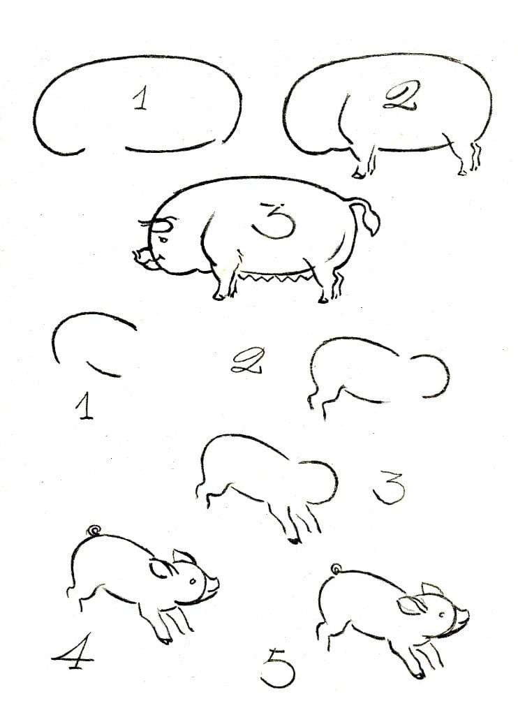 как нарисовать свинью и поросят