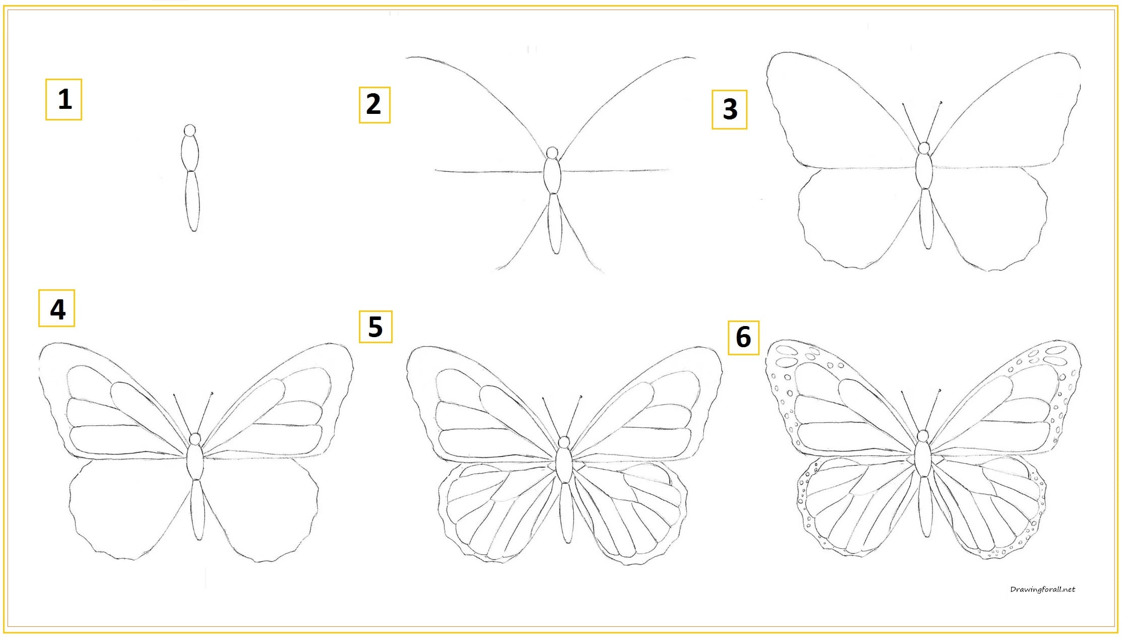 Рисунок карандашом 6 класс поэтапно. Поэтапное рисование бабочки. Рисование бабочки поэтапно. Рисуем бабочку поэтапно. Нарисовать бабочку поэтапно.