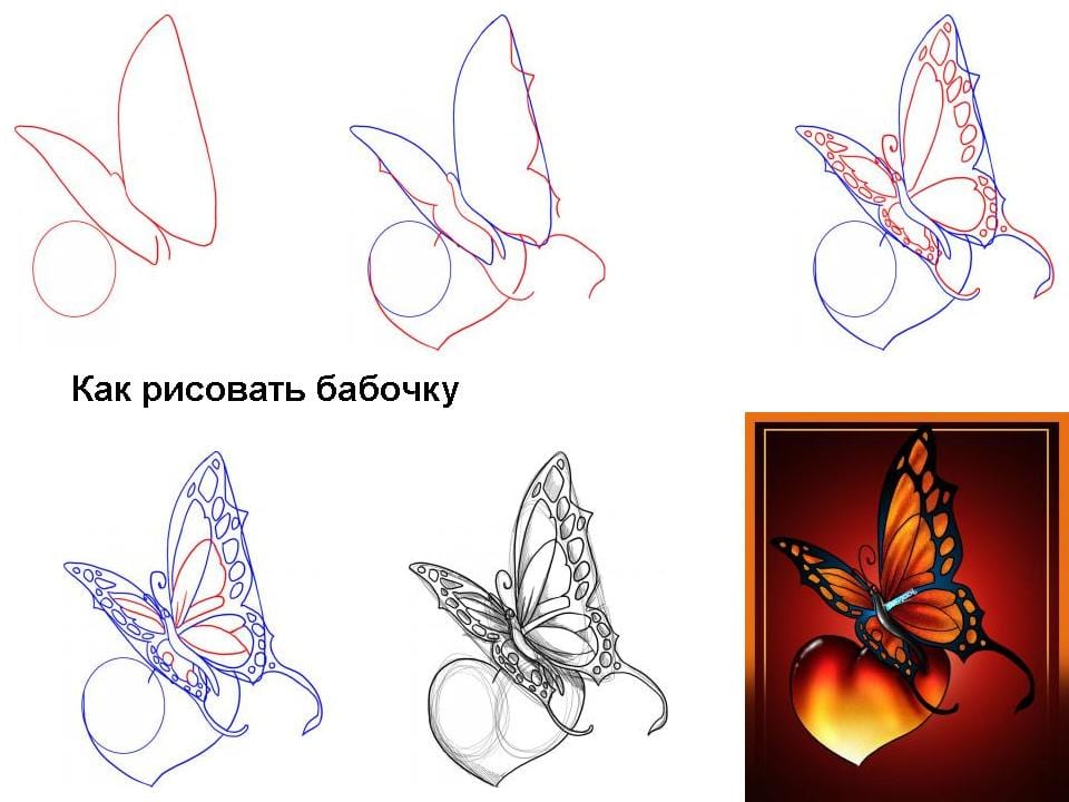 Бабочка схематично рисунок