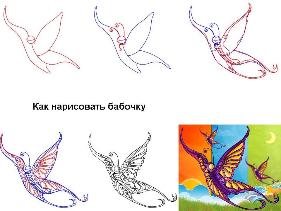 Как рисовать красивую бабочку