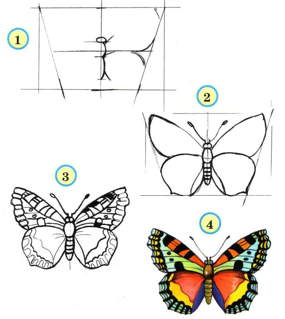 Как нарисовать бабочку легко и красиво быстро
