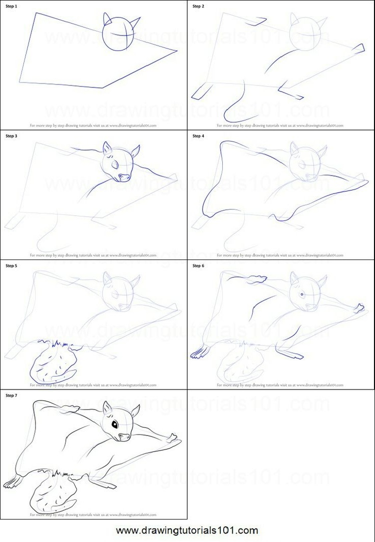 Белка-летяга как нарисовать