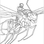 Человек муравей картинки раскраски (8)