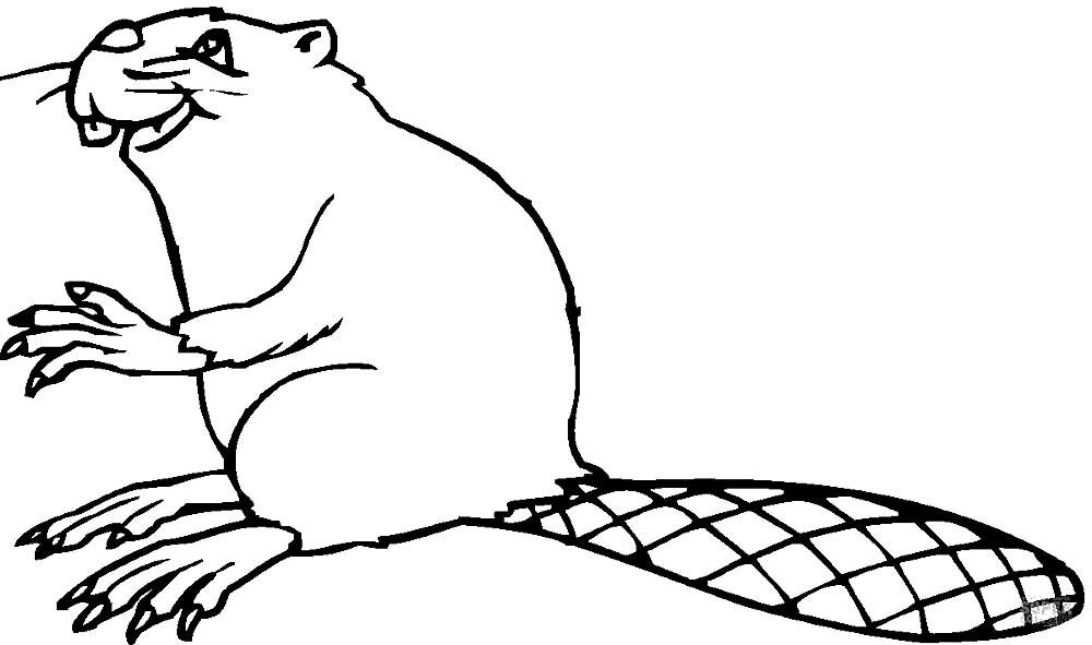 Рисунок с бобром