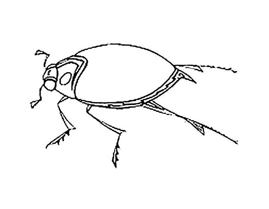 Жучок рисунок карандашом