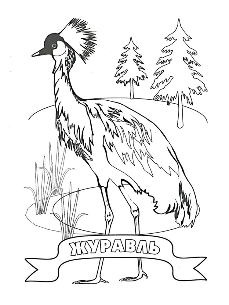 Журавль картинка раскраска
