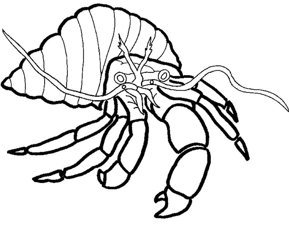 Краб рисунок для детей раскраска