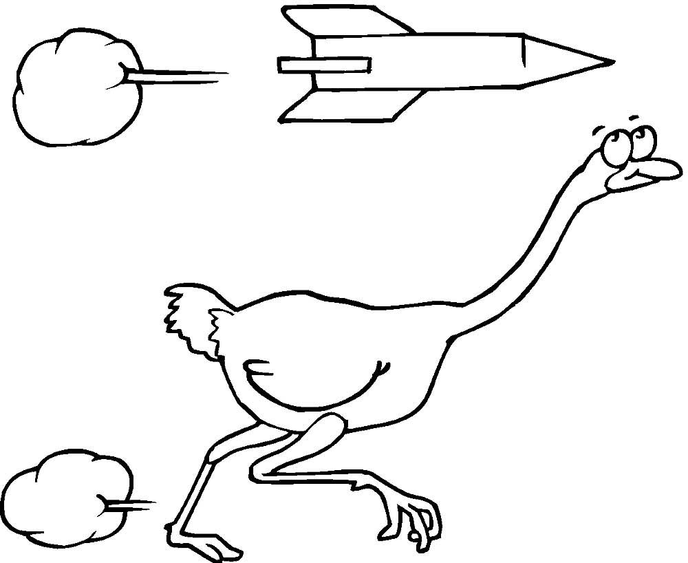 Страус и черепаха рисунок для детей