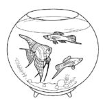 Аквариум с рыбками картинки раскраски (10)