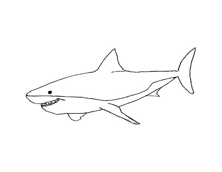 Акула картинки раскраски (40)
