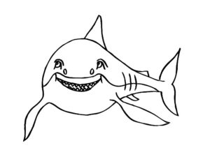 Акула картинки раскраски (44)