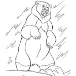 Белый медведь картинки раскраски (7)