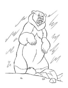 Белый медведь картинки раскраскиБелый медведь картинки раскраски (7)