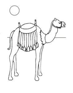 Верблюд картинки раскраски (10)