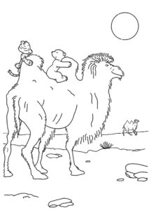 Верблюд картинки раскраски (12)